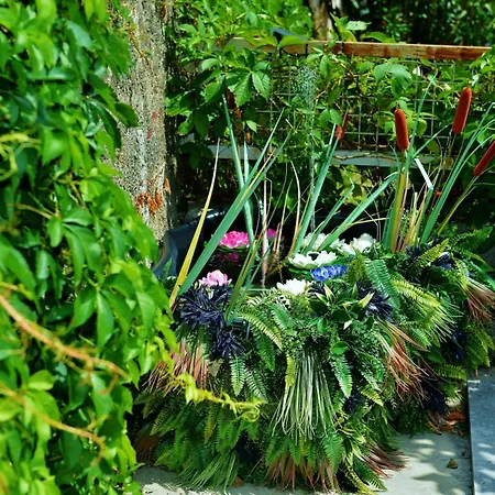 Lorena S Dvoristem-with Garden -prizemlje,eg,pianterreno,ground Floor Daire Rijeka