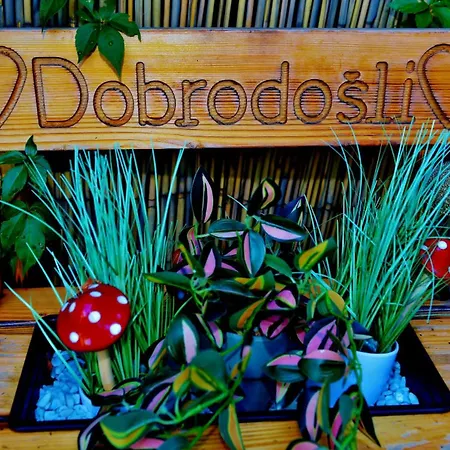 Lorena S Dvoristem-with Garden -prizemlje,eg,pianterreno,ground Floor